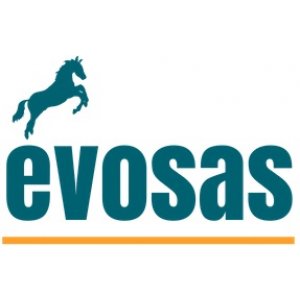 Evosas Yazılım Danışmanlık Eğitim Hizmetleri