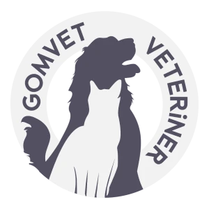 Gomvet