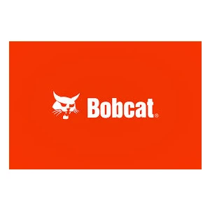 Hasel Bobcat