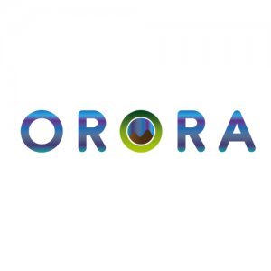 Orora Grup Danışmanlık Hizmetleri