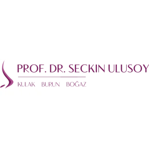 Prof. Dr. Seçkin Ulusoy