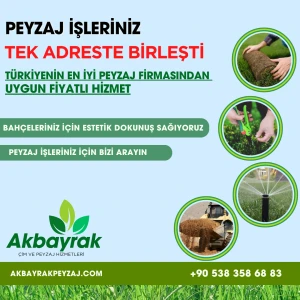 Toprak - Akbayrak Peyzaj