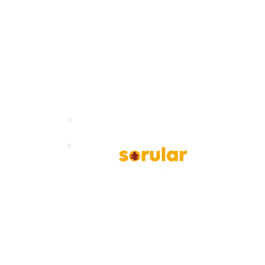 Testsorular.com